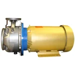 Goulds SSH Pump