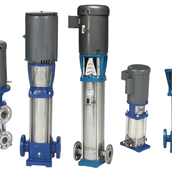 E-SV Pumps Goulds