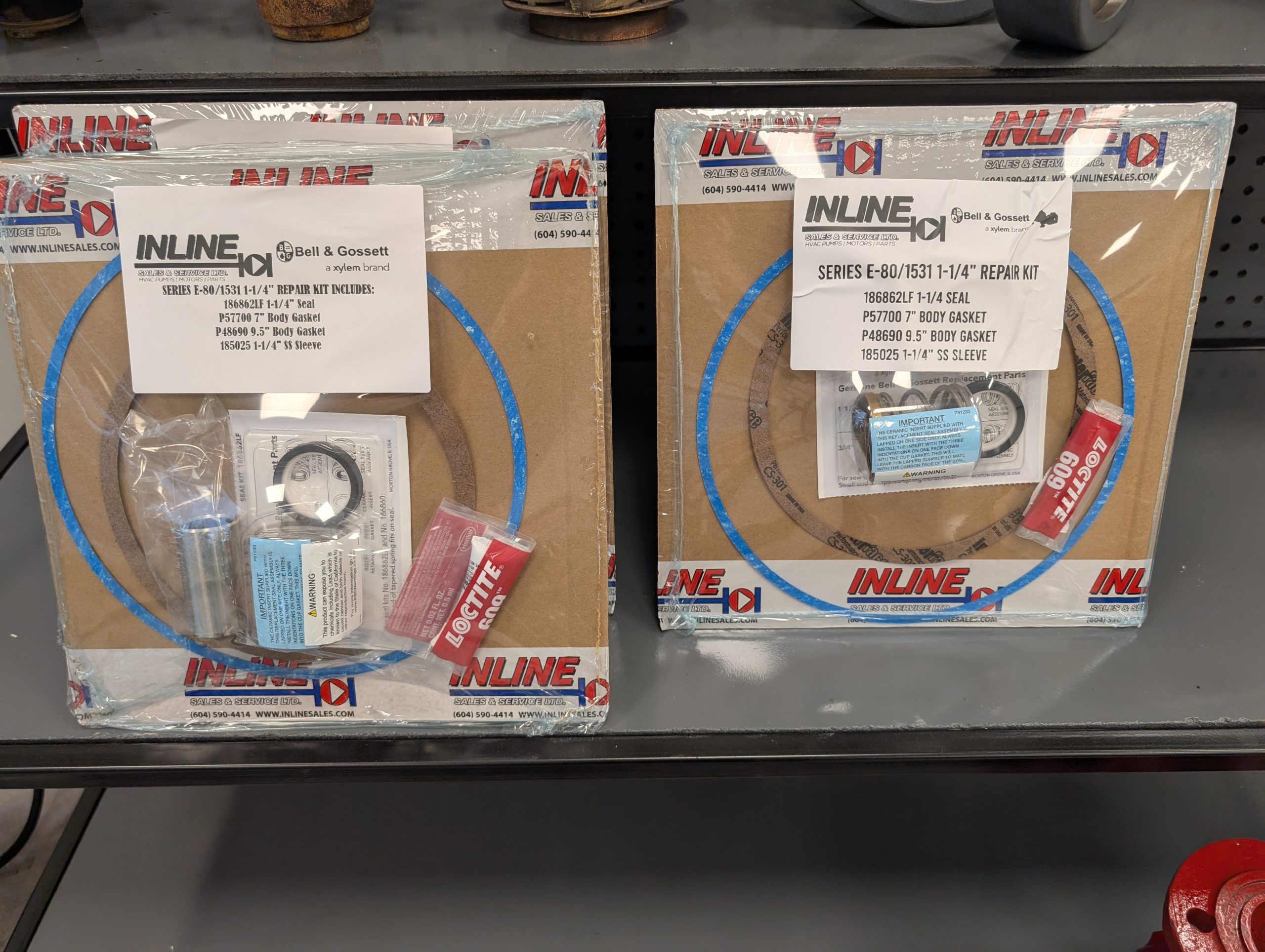 Bell & Gossett E-80/E-1531 1-1/4" Repair Kit - Image 2
