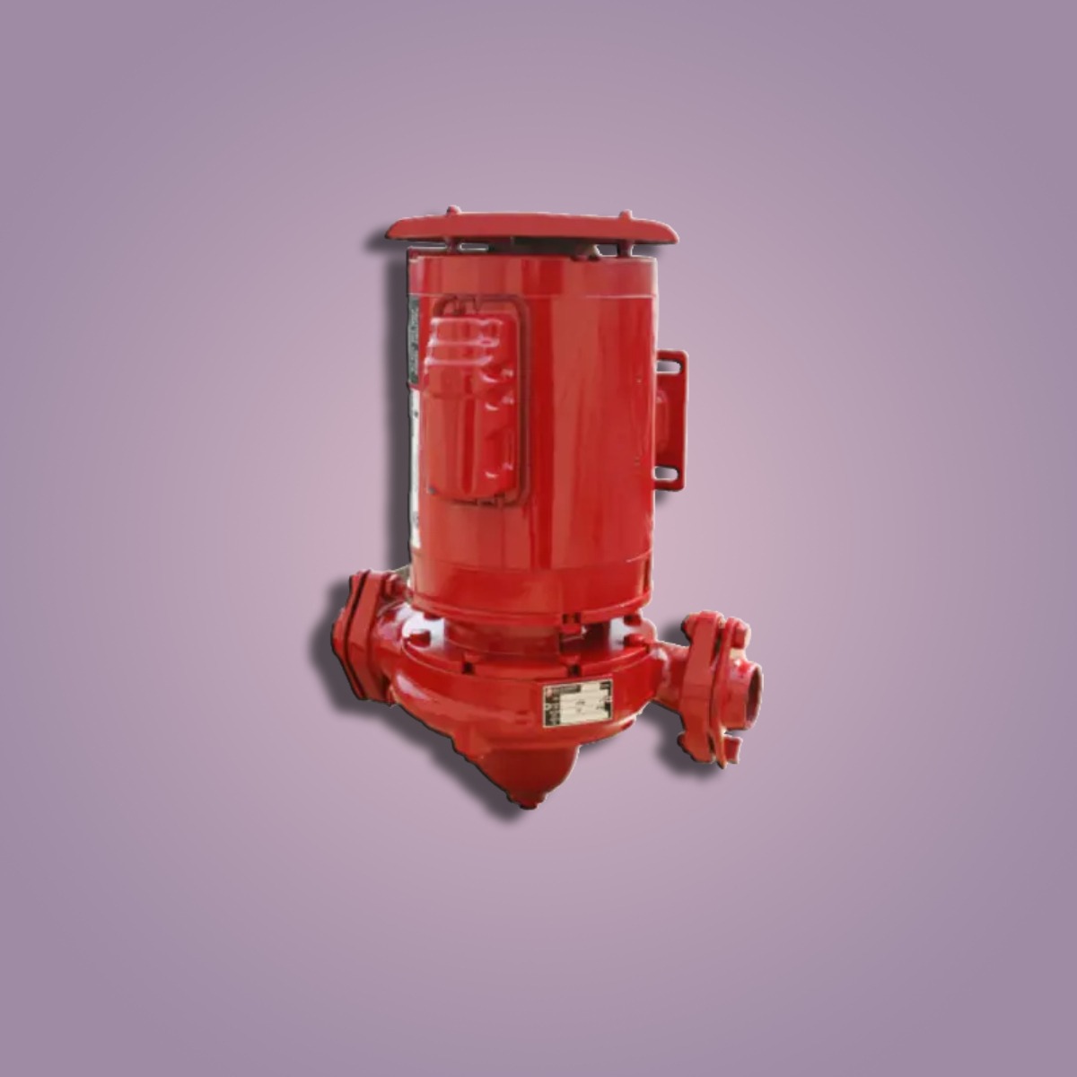 B&G E-90 1.5AAB CI Pump